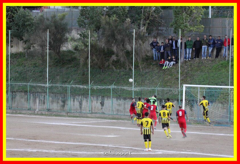 181111 Cepha_Milazzo 189_tn.JPG